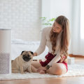 Do Air Purifiers Help with Pet Allergies? - An Expert's Perspective