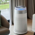 Do Air Purifiers Help with Mold Allergies? A Comprehensive Guide