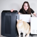 Can an Air Purifier Help Reduce Pet Dander in the Home?