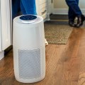 Natural Alternatives to Air Purifiers for Allergies