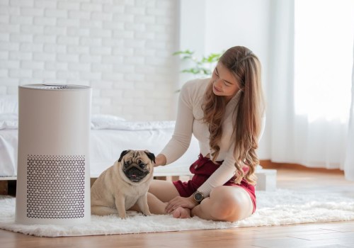 Do Air Purifiers Help with Pet Allergies? - An Expert's Perspective