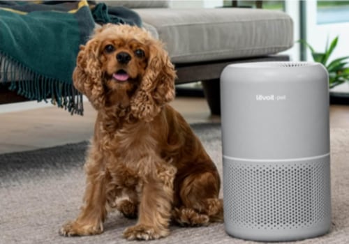 Are Air Purifiers Worth It for Pet Allergies? A Comprehensive Guide