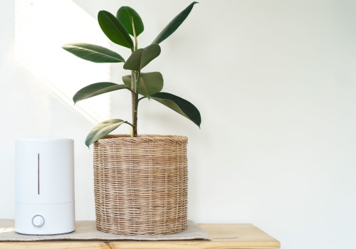 Can an Air Purifier Help Reduce Smoke and Other Odors in the Home Caused by Allergens?