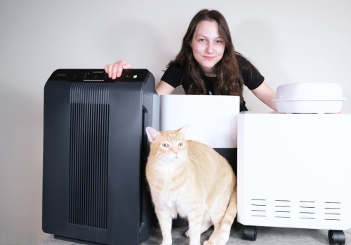 Can an Air Purifier Help Reduce Pet Dander in the Home?