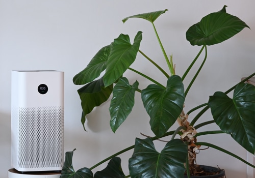 The Best Air Purifiers for Asthma and Allergies: A Comprehensive Guide