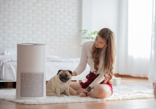 The Best Air Purifiers for Allergies: How to Choose the Right Filter